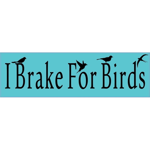 10in x 3in I Brake For Birds Bumper Sticker Window Stickers Vinyl Car Decal