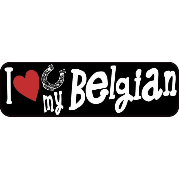 10in x 3in I Love My Belgian Magnet Car Door Magnetic Truck Magnets