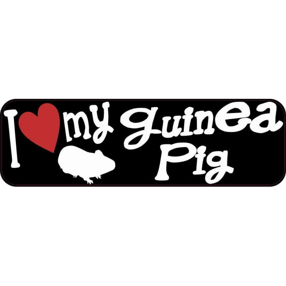 10in x 3in I Love My Guinea Pig Bumper Sticker Vinyl Truck Window Decal