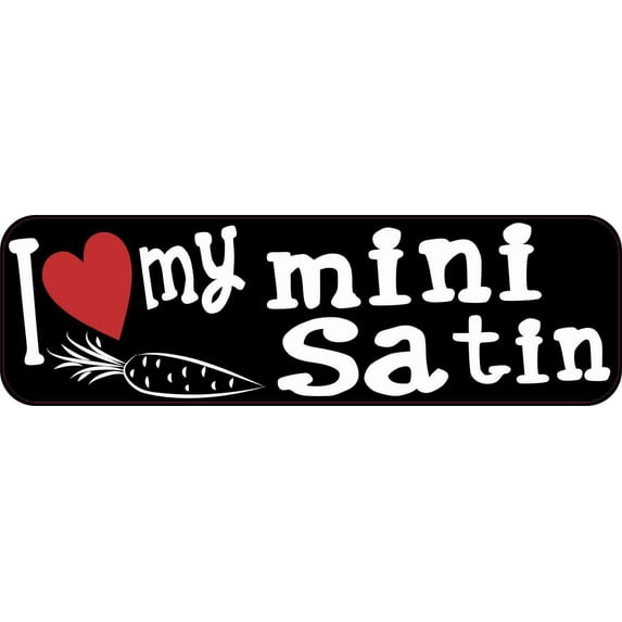 10in x 3in I Love My Mini Satin Magnet