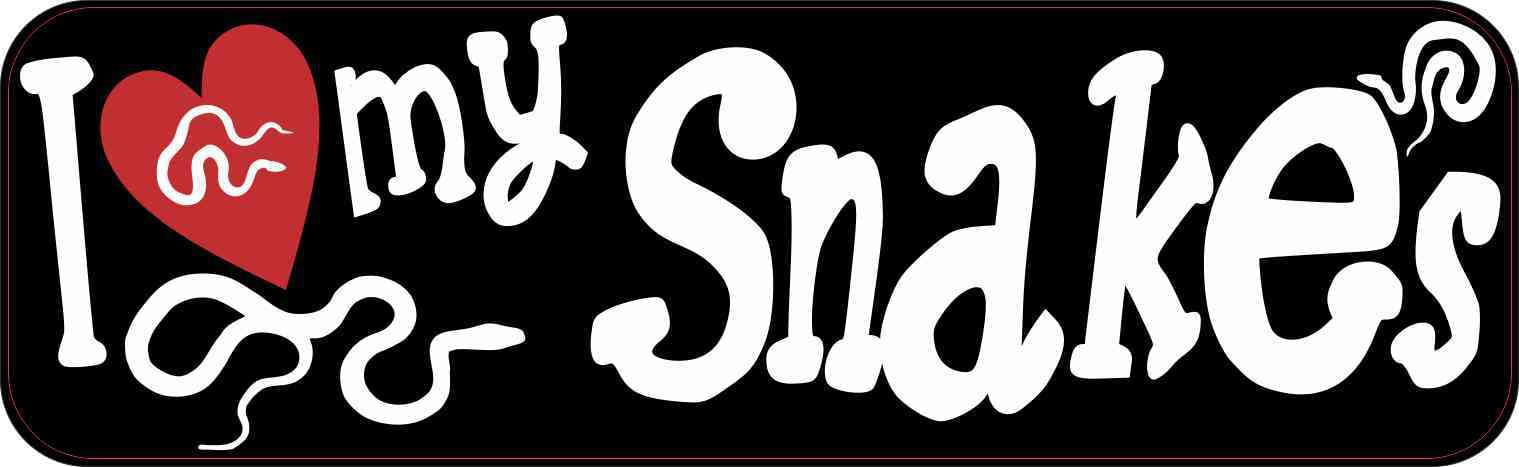 10in x 3in I Love My Snakes Magnet Car Door Magnetic Truck Magnets Pet ...