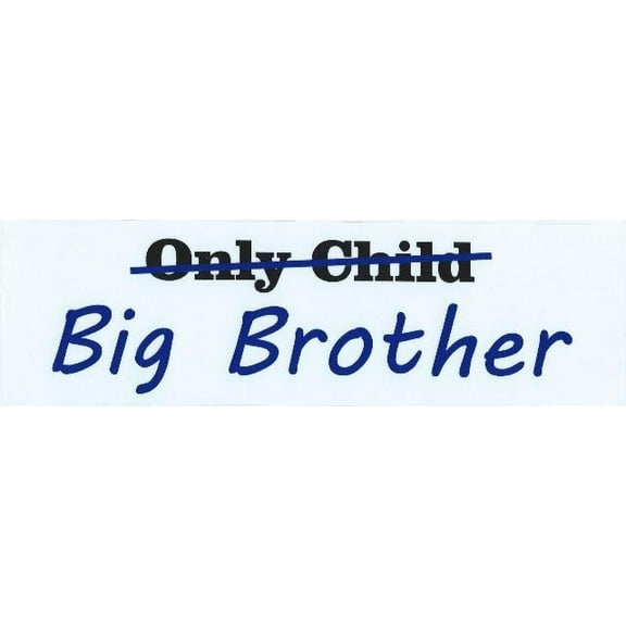 10in x 3in Only Child Big Brother Vinyl Bumper Sticker Decal Sti