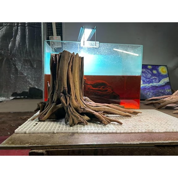 10inch Aquarium Tree Stump Handcrafted 10inch Height Driftwood Bonsai aquascaping Wood Aquarium Landscape Tree Stump Fish Tank hardscape aquascape