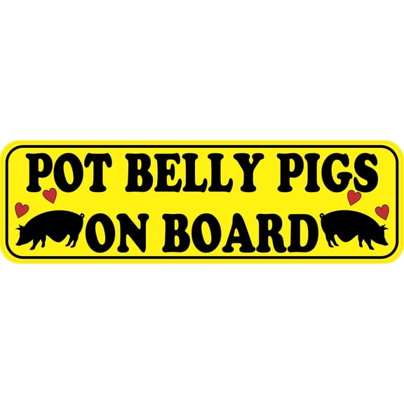 10inx3in Pot Belly Pigs on Board Bumper Sticker Vinyl Animal Vehicle Decal