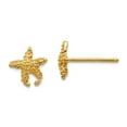 thumbnail image 1 of 10k Gold Polished and Textured Sea shell Nautical Starfish Post Earrings 8.21x7.64mm Wide Stud Earring for Women, 1 of 2