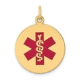 thumbnail image 1 of 10k Red Enamel Medical Jewelry Pendant, 1 of 1