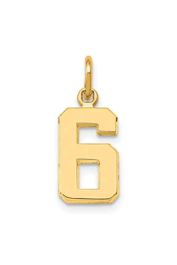 10k Small Polished Number 6 Charm