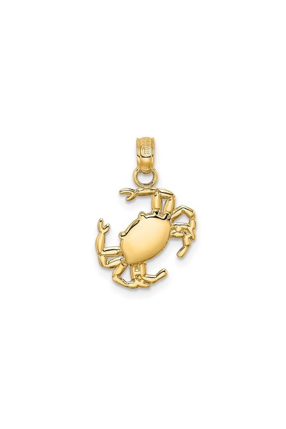 10k Yellow Gold Crab Pendant Necklace for Women or Unisex, Cancer Zodiac Astrology Charm Jewelry with Ocean and Marine Life Symbolic Design
