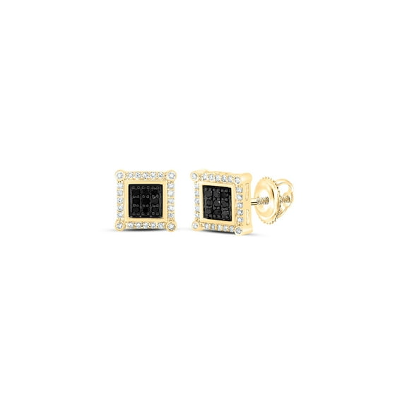 10kt Yellow Gold Round Black Color Enhanced Diamond Square Earrings 1/4 Cttw