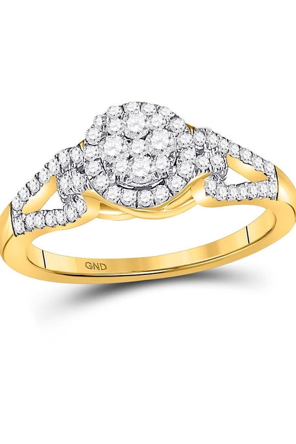 10kt Yellow Gold Womens Round Diamond Circle Frame Cluster Ring 1/2 Cttw