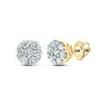 thumbnail image 1 of 10kt Yellow Gold Womens Round Diamond Flower Cluster Earrings 1/4 Cttw, 1 of 1