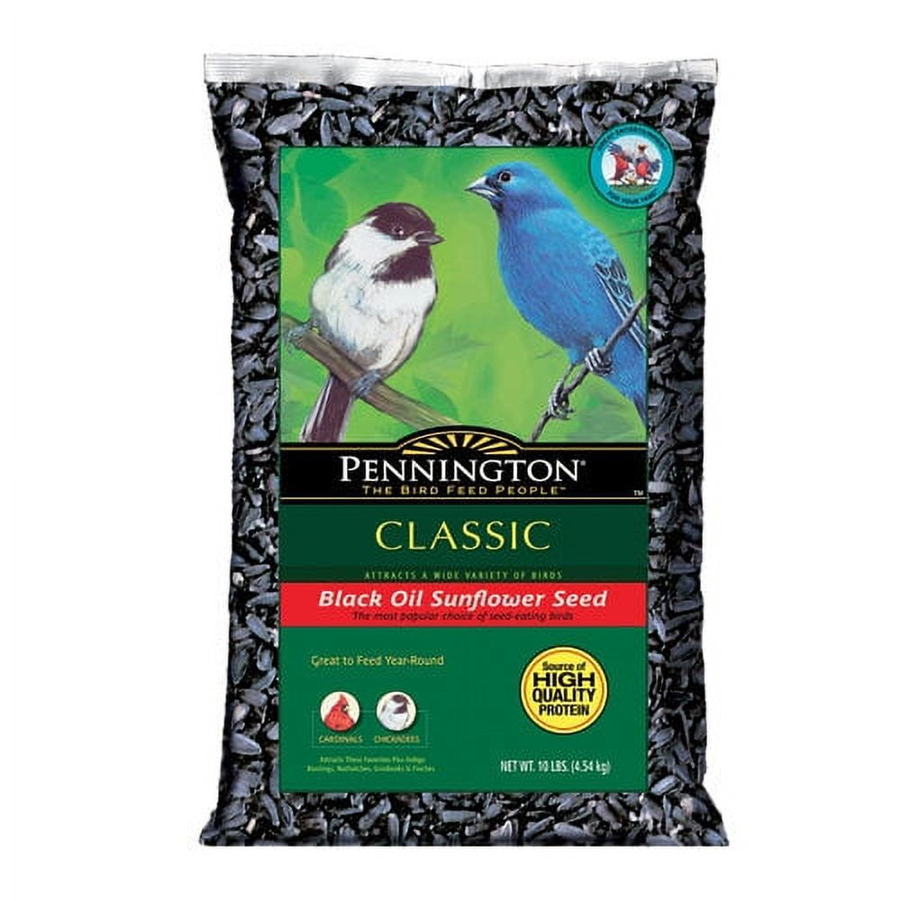 10lb Sunflower Seed