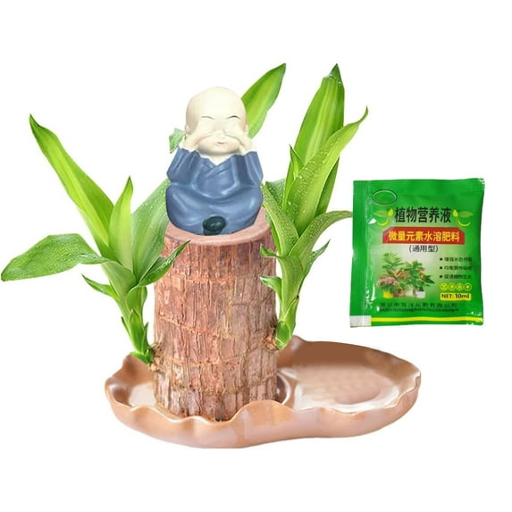 10ml Brazil Wood Hydroponic Tree Stump With Dolls and Tray Magical Sprouting Bonsai Mini Potted Desktop Ornament For Home Air Purification