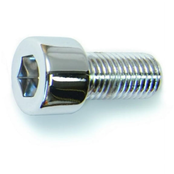 10mm-1.25 x 20mm Chrome Class 12.9 Smooth Head Hex Socket Cap Screws (10 pcs.)