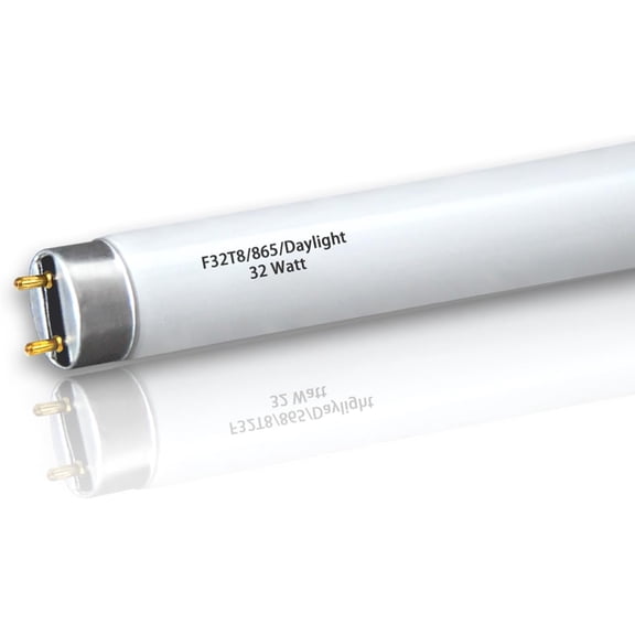 (10pack) 48 inch F32T8/865 Fluorescent Tube Light,4FT 32Watts 6500K Full Spectrum Daylight Bulb,Ra83 High Transparent Replacement for Ceiling Lights,Fish Tank Bulb