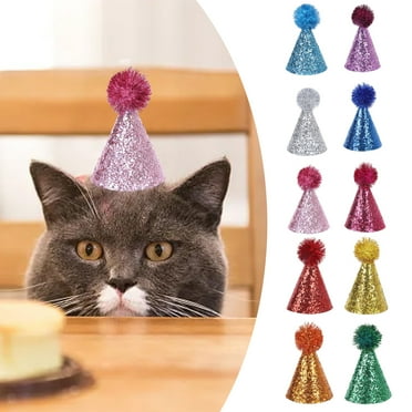 10pc Mini Party Hats for Stuffed Animals Glitter Mini Party Hats Cat Birthday Hat Animal Birthday Decor