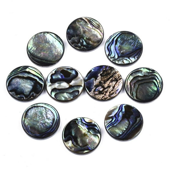 10pc Natural Abalone Shell/Paua Shell Cabochons with Freshwater Shell Flat Round Colorful 20x3mmDIY