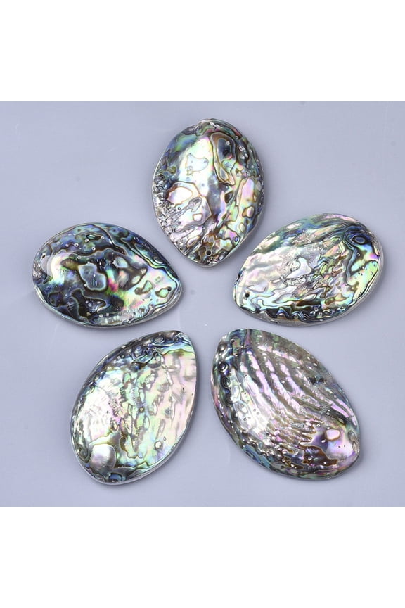 10pc Single-Sided Natural Abalone Shell/Paua Shell Big Pendants with Freshwater Shell Back Teardrop Colorful 52~64x38~41x12~15mm Hole: 1.4mm