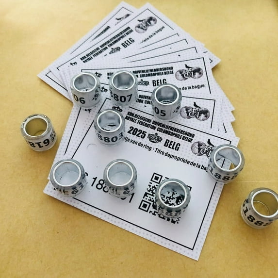 10pcs 2025 BELG Pigeon Rings with Letters Cards Bird 8mm (2025 White)