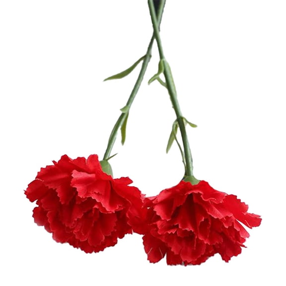 10pcs 29cm*8cm*8cm Long-lasting Simulated Mini Carnation Flowers for Home and Event Decoration_BIG RED