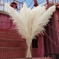 thumbnail image 1 of 10pcs 40'' Pampas Grass Tall Decor - Pompas Floral, Tall Pampas Grass for Floor Vases, Living Room Floor, Floor Plants, Plumas para, and Grass Wall Decor, 1 of 7
