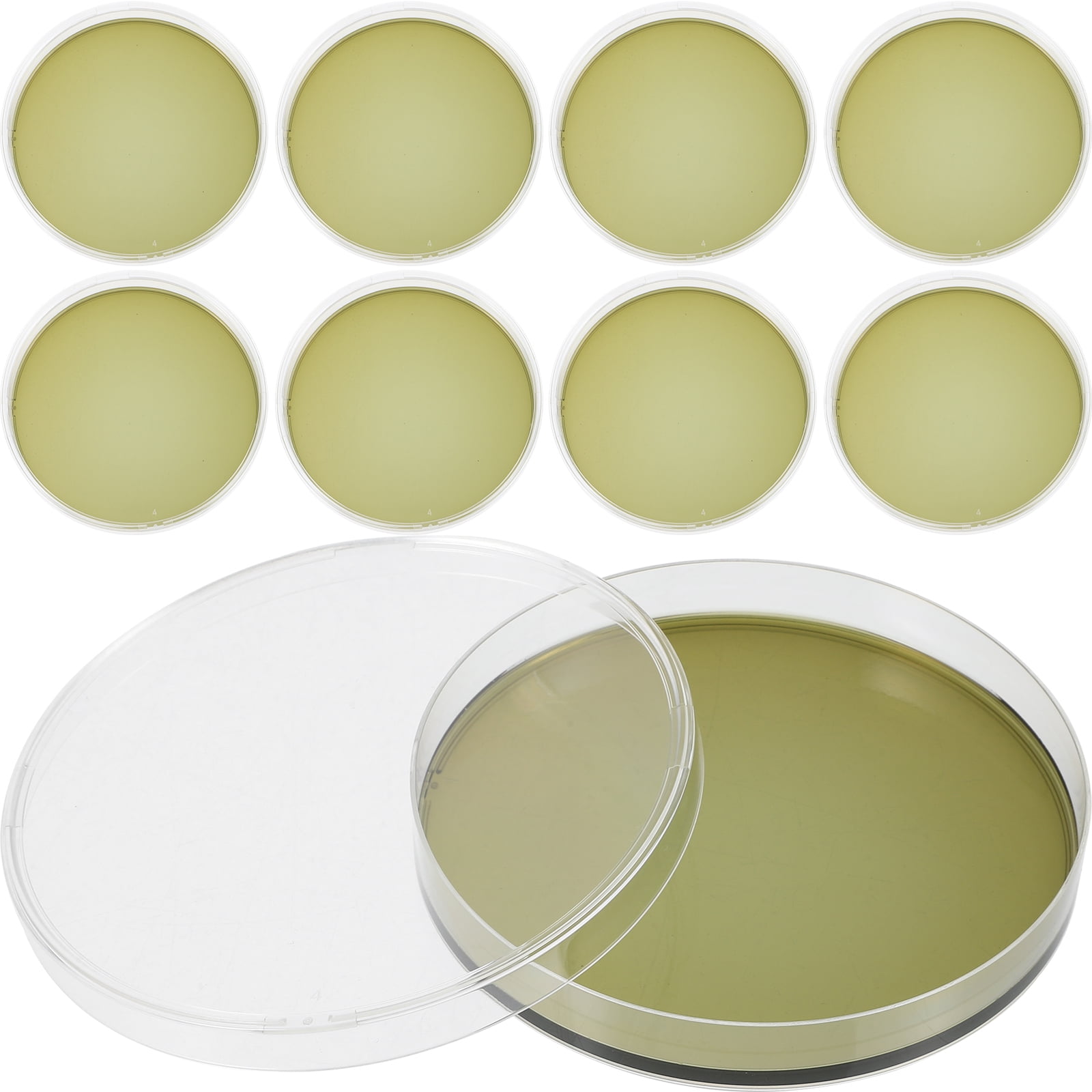Buy Bacteria Science Kit Petri Dishes With Agar And Swabs | Top Science Fair Project Bacteria Growing Kit Prepoured Lb Agar Plates And Cotton Swabs Stem For Kids Aged 6 7 8 9 10 Girls Boys Gifts