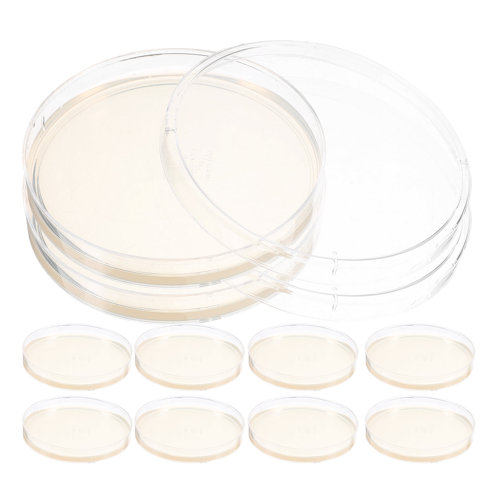 10pcs Agar Plates Prepoured Agar Plates Laboratory Petri Dishes Science ...