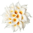 thumbnail image 1 of 10pcs Artificial Calla Lily Flower Real Touch Latex Flowers for DIY Wedding Bouquet Party Home Decor (White-Yellow Core), 1 of 5