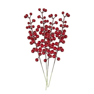 Red Berry Pick Foley's Florist