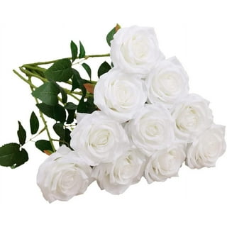 6000/3000/1000PCS Romantic Silk Rose Petals for Wedding Decoration Romantic  Artificial Wedding Rose Petals Rose Flower