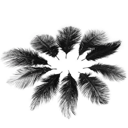 10pcs Black PLUME Feather for Craft Costume Hat Clothing Decor