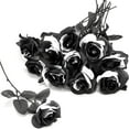 thumbnail image 1 of 10pcs Black and White Roses Artificial Flowers with Stems, Faux Silk Flowers Bridal Gothic Wedding Bouquet, Realistic Blossom Flora for Home, Office, Hotel Decorations, 1 of 5
