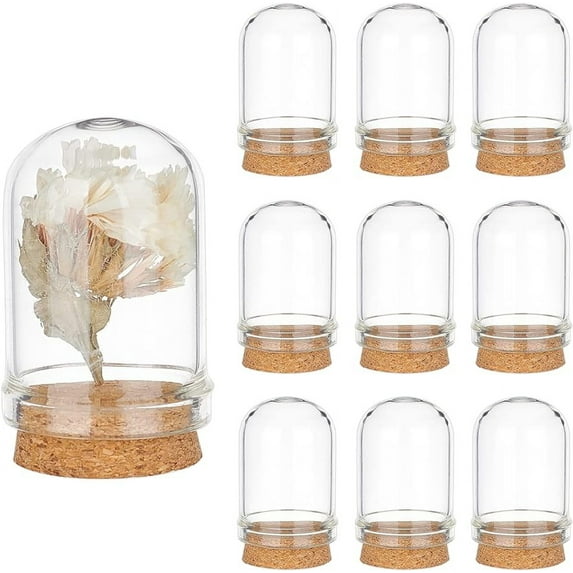 10pcs Cloche Bell Jar Display Dome with Cork Base 8ml Mini Glass Bottles Dome Decorative Jars Display Case for Flower Storage Home Christmas Party Favor Decoration 0.86x1.4inch