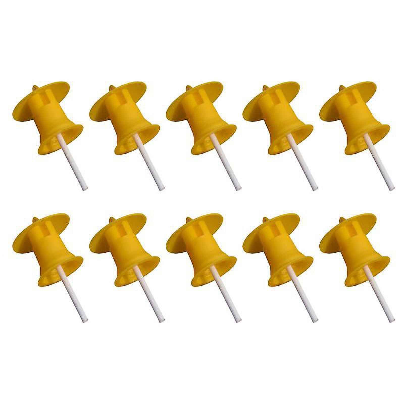 10pcs Fruit Fly Traps