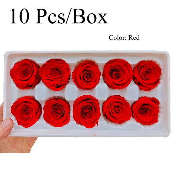 10pcs Grade 3-4cm Preserved Rose Head, Top Grade Natural Eternal Real Roses, Immortal Rose Last 3 to 5 Years for Mothers Valentines Day Birthday Gifts, Wedding Home Party Decor, DIY Essential (Red)