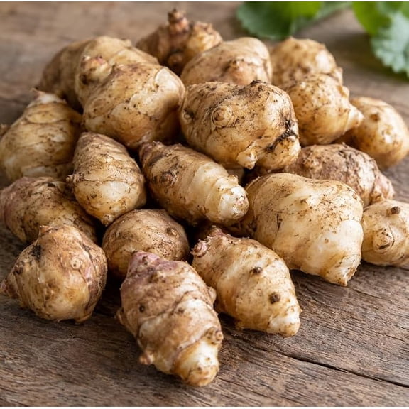 10pcs Jerusalem Artichoke Sunroot Tubers for Planting, Yellow Sunchoke Bulbs, Heirloom Vegetable Garden Crop