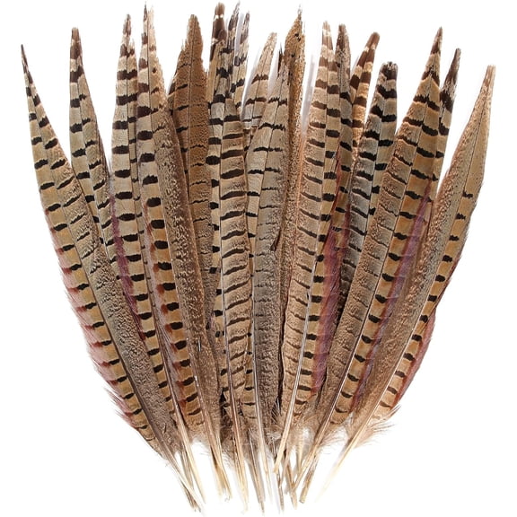 10pcs Male Pheasant Feather Natural Ringneck Tails Feathers 6-8inch 15-20cm for Crafts Home Wedding Party Performance DIY Decoration Pheasant Feather,Male Pheasant Feathers