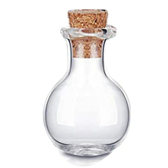 10pcs Mini Small Glass Bottles with Cork Lid Tiny Jars Vials Message Container
