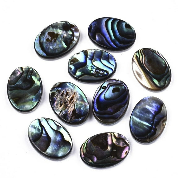 10pcs Natural Abalone Shell/Paua Shell Cabochons with Freshwater Shell Oval Colorful 14x10x3mm