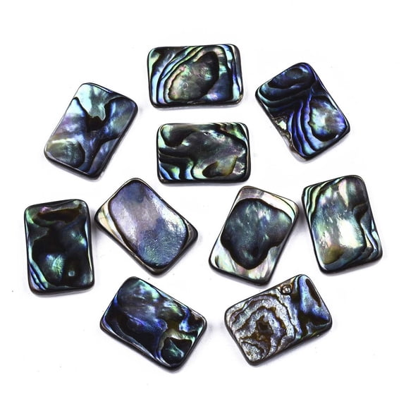 10pcs Natural Abalone Shell/Paua Shell Cabochons with Freshwater Shell Rectangle Colorful 15x10x3mm