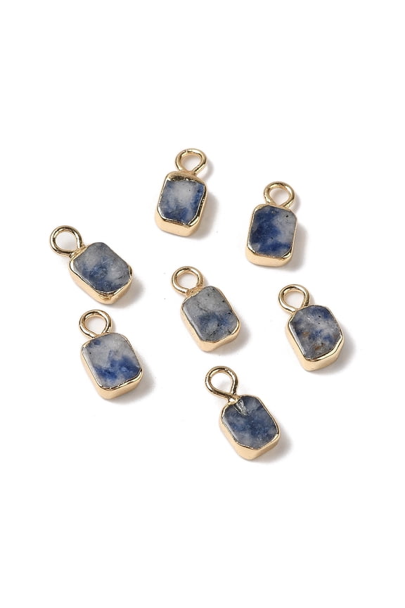 10pcs Natural Blue Spot Jasper Rectangle Charms with Golden Tone Brass Edge 9.5x5x2.5mm Hole: 2mm