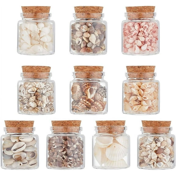 10pcs Natural Sea Shell Conch Bead & Transparent Glass Bottle Display Decorations Mixed color 58x47mm 10pcs/set