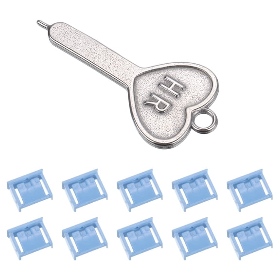 10pcs Port Blocker Locking USB Port/Dust PC Blocker with Coded Key,Blue