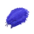 thumbnail image 1 of 10pcs natural male ostrich feathers 25-30cm/10-12inch Large fluff Blue, 1 of 5