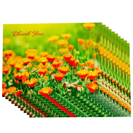 Designer Greetings Blank Thank You Cards & Envelopes, 10 Pack, Orange Floral