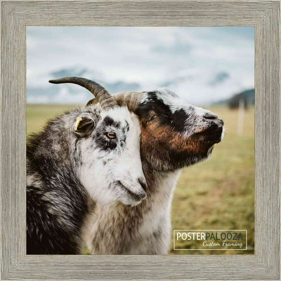10x10 Grey Rustic Wide Barnwood Picture Frame - UV Acrylic, Foam Board Backing, Hanging Hardware