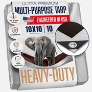 10x10 Heavy Duty Tarp, 10 Mil Thick, High Durability, Tear & Fade Resistant, UV Treated, Grommets Every 18 Inches 10 x 10