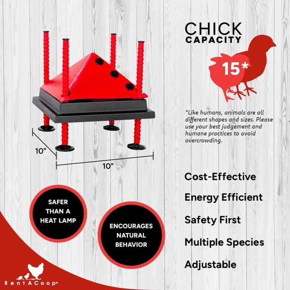 10x10 Inch Adjustable Heating Plate with Bonus Foldable Anti-Roost Cone for up to 15 Chicks