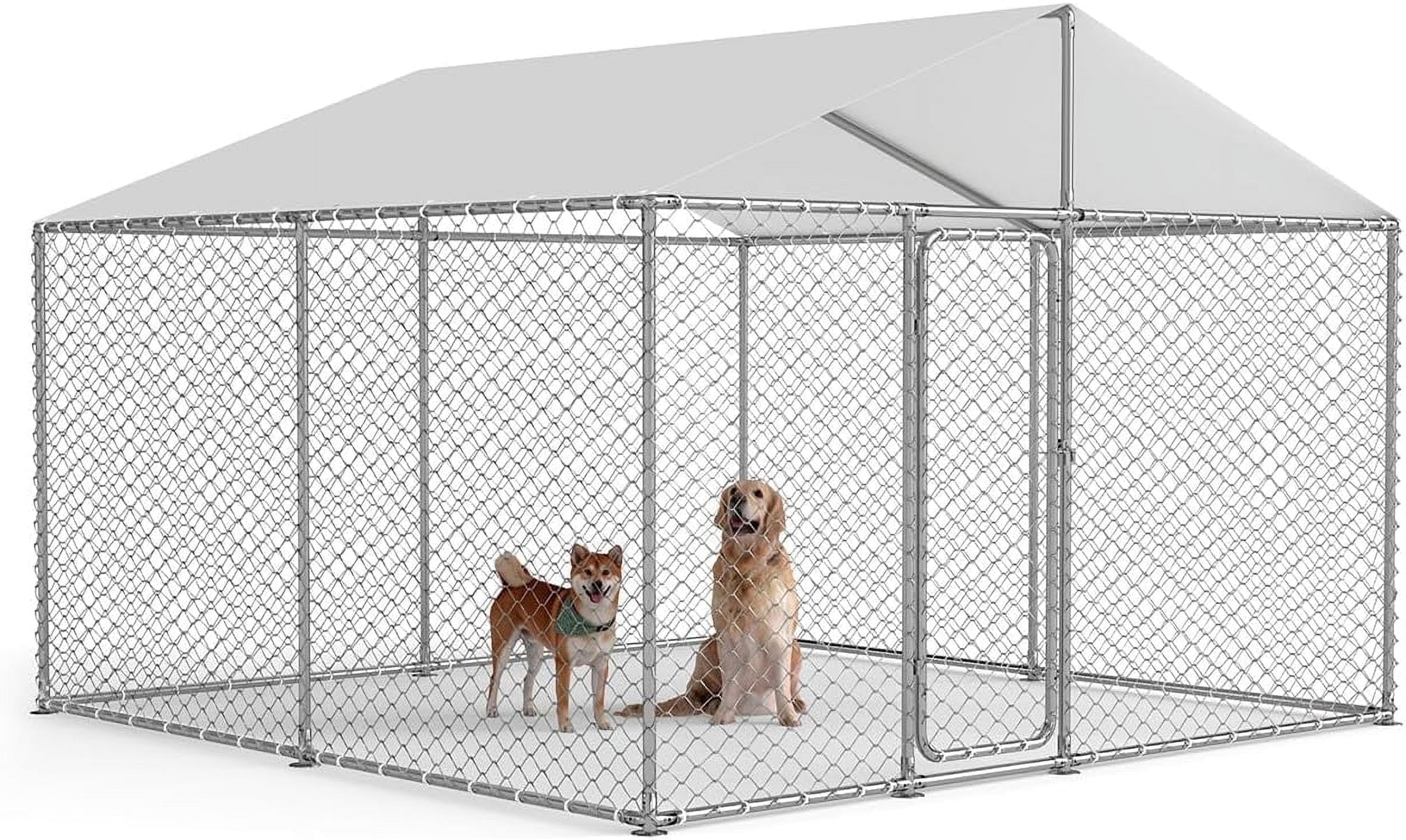 10x10 Outdoor Dog Kennel Outside Heavy Duty Dog Enclosure with