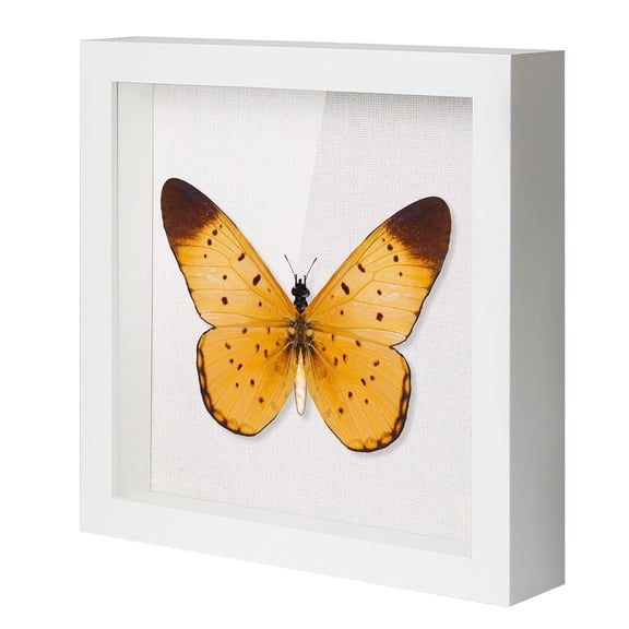10x10 Shadow Box Frame With Linen Backboard & Real Glass Wood Display Case Deep Showcase To Hang The Photos Tickets Wedding Bouquets Medals Sports Memorabilia White